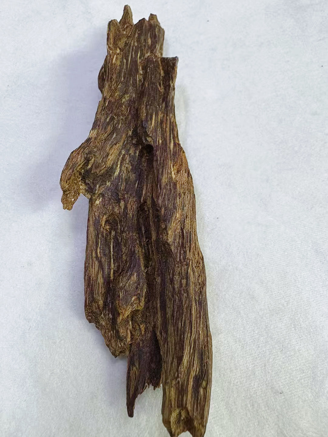 The Spirit of Agarwood